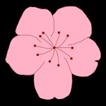 A片网APPAPP应用